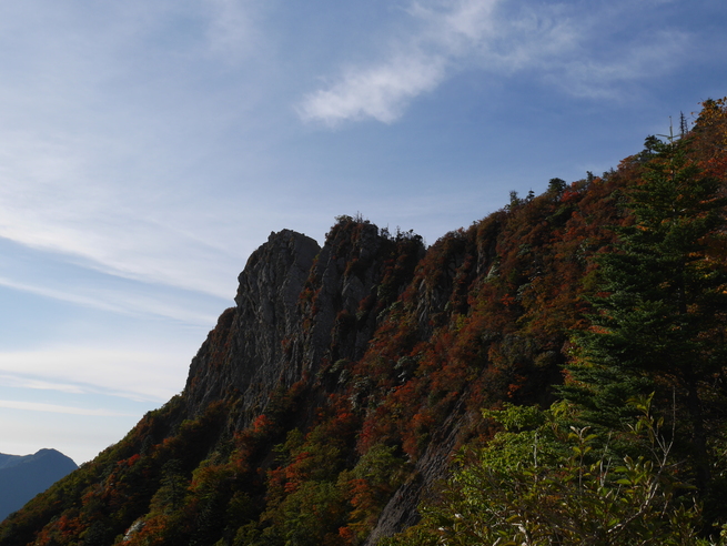 a0220528_01950.jpg