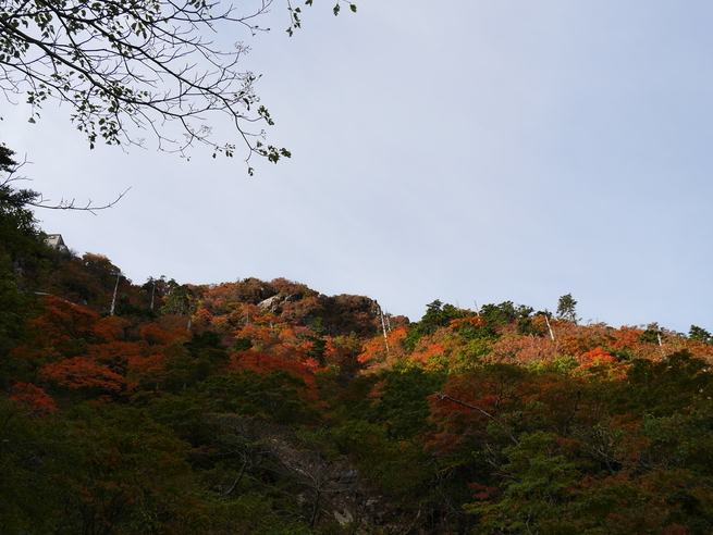 a0220528_02178.jpg