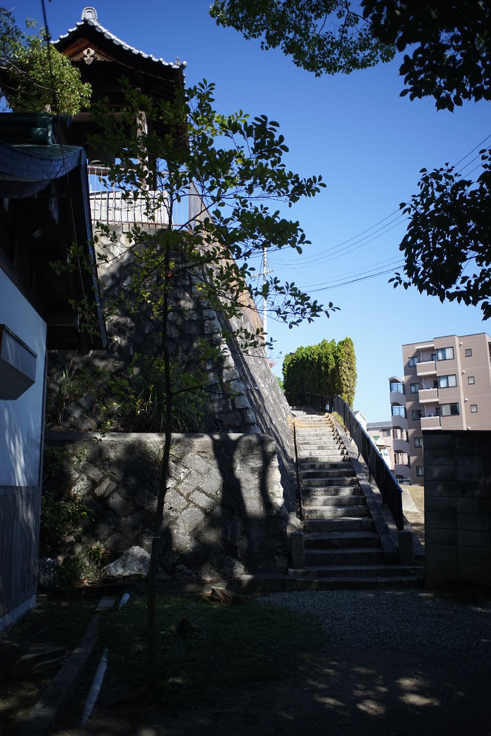 b0069128_14492058.jpg