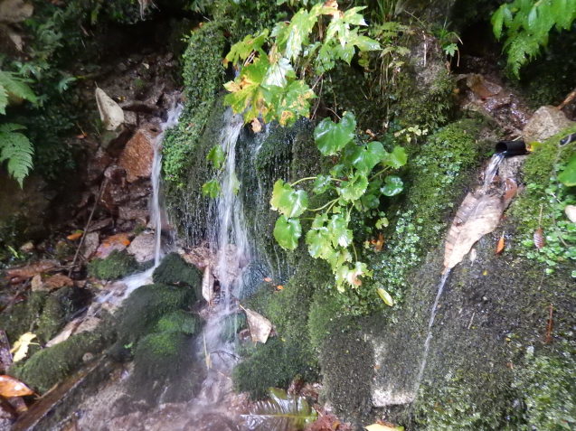 f0118332_17371319.jpg