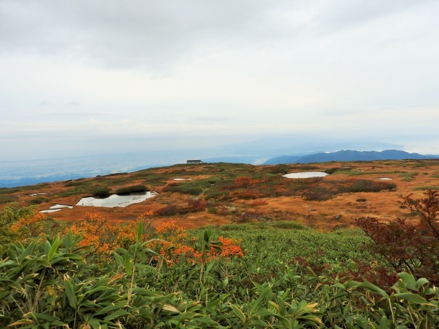 f0118332_23555610.jpg