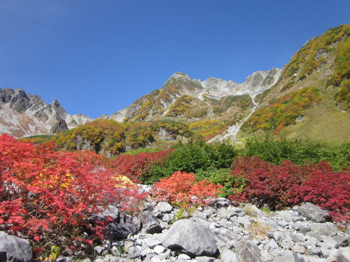c0038434_21513399.jpg