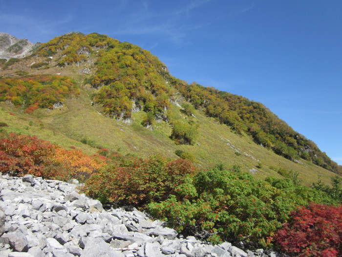 c0038434_21514726.jpg