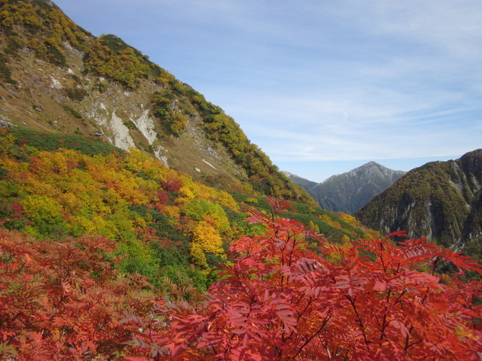 c0038434_21521359.jpg
