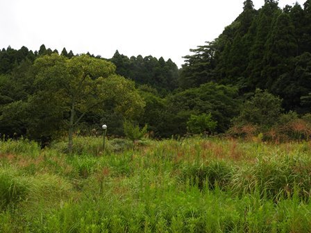 a0123836_15565231.jpg