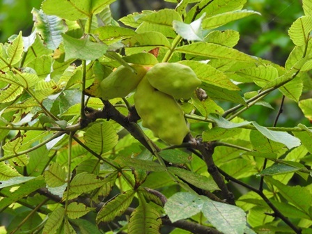 a0123836_15591971.jpg