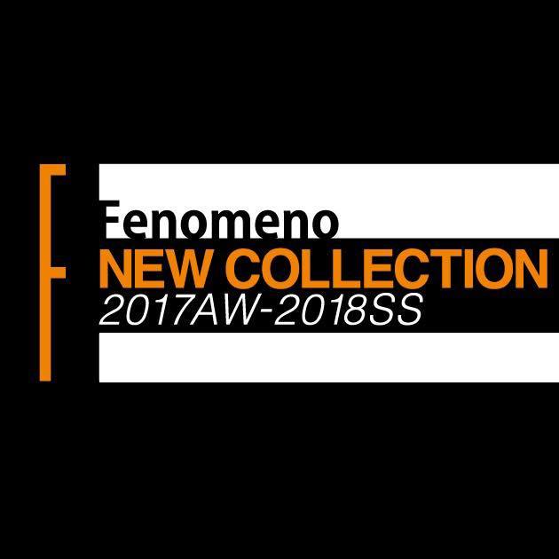 Fenomeno 2017 AW 第2弾リリースです！_d0165136_17494716.jpg