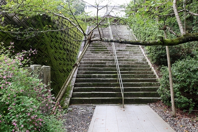 a0242438_22134101.jpg