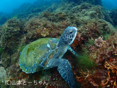 カメラマンさんから学んだ事_b0163039_14523241.jpg