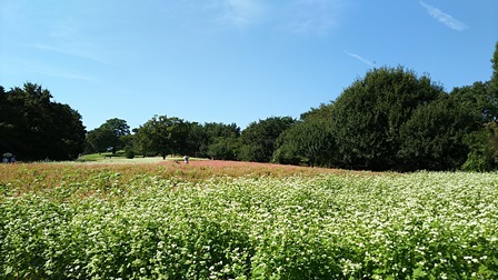 b0080342_09543829.jpg