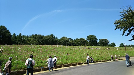 b0080342_11192943.jpg
