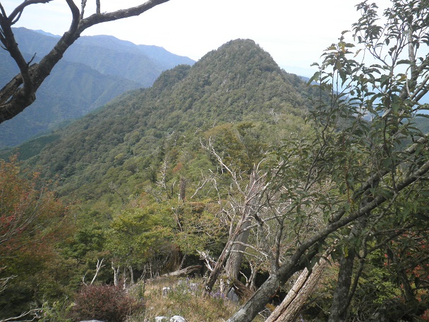 e0164643_2130486.jpg
