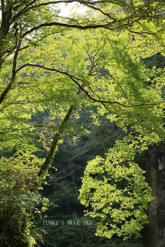 c0145250_09592079.jpg