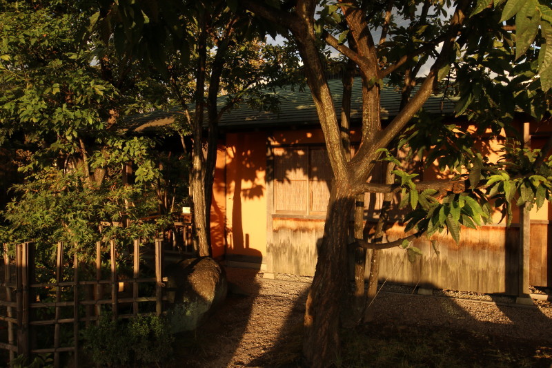 c0074553_22502978.jpg