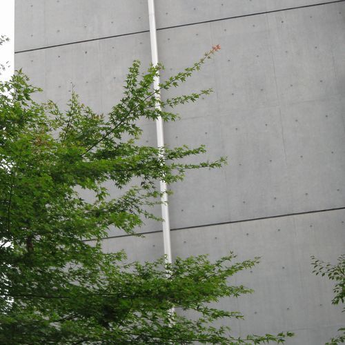 b0133754_09254334.jpg