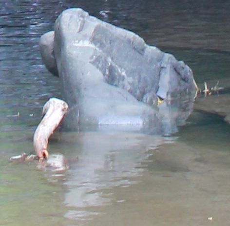 まるでジブリの世界 濃溝の滝_e0133255_18360174.jpg