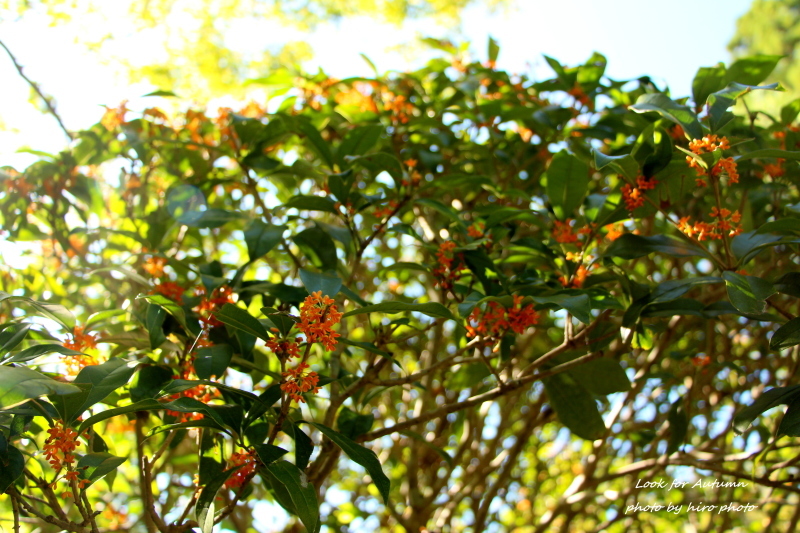 b0328557_18511948.jpg