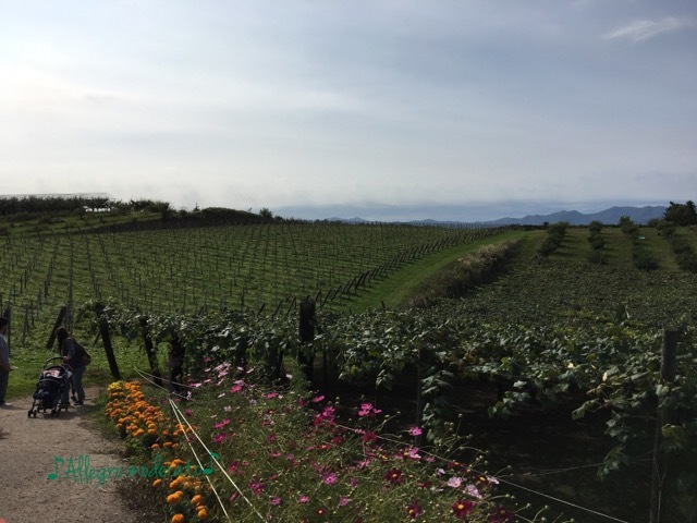 記念日一泊旅行_d0240961_18100502.jpeg