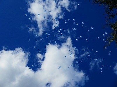 b0052375_11382805.jpg
