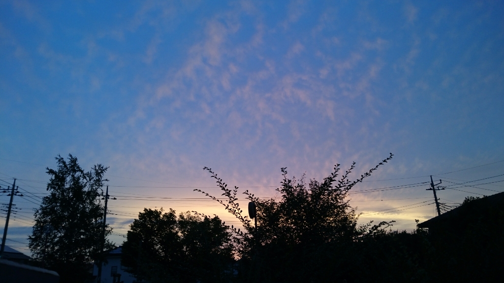 f0071477_08044239.jpg