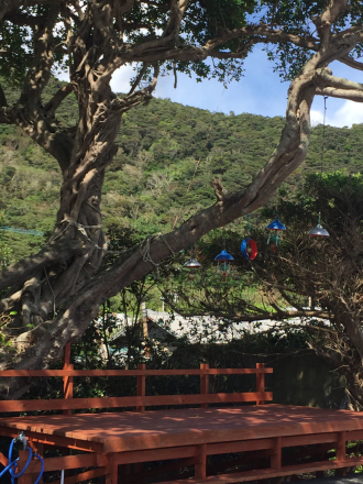 10 2 花富集落涼み台 奄美 加計呂麻島なんでもありblog 10 2 花富集落涼み台 奄美 加計呂麻島なんでもありblog