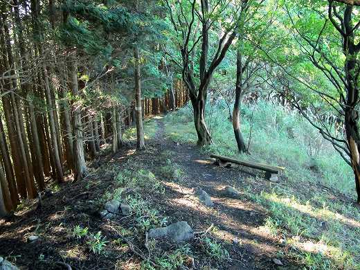 室生火山群の大洞山・尼ケ岳でＳＯＴＡ運用-1　JA/ME-022・024_f0073587_21481162.jpg