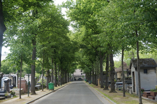 b0178388_12362979.jpg