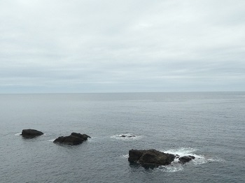 越前海岸　2017年9月　～呼鳥門・越前岬・道の駅・海辺のカフェ～_d0264892_13531439.jpg