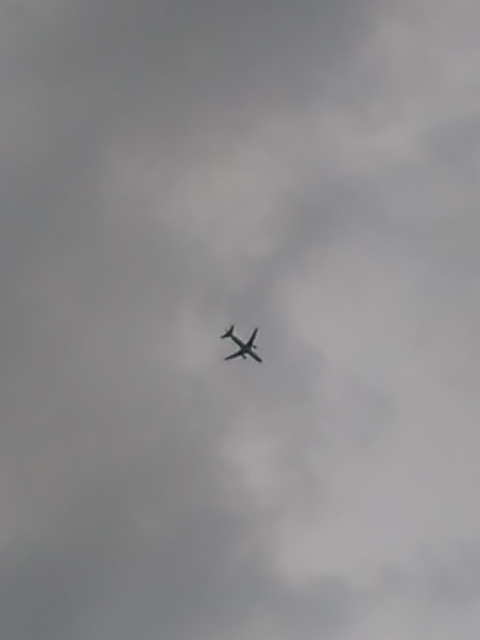 e0332697_08535209.jpeg