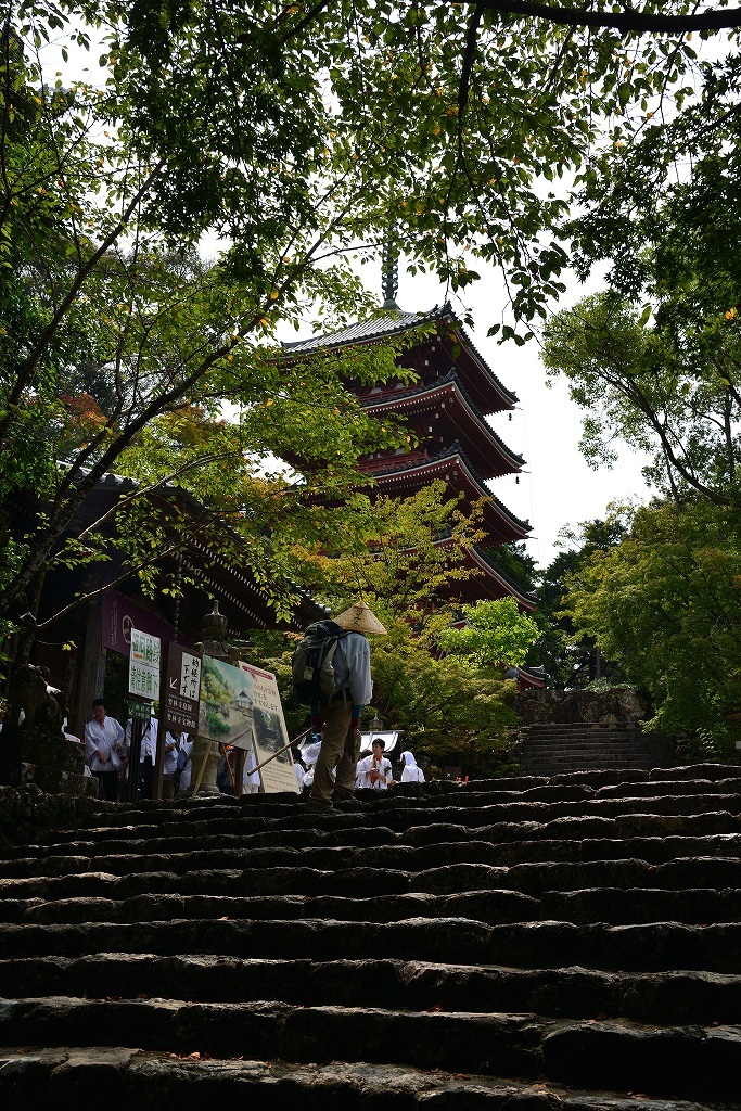 d0288500_21041552.jpg
