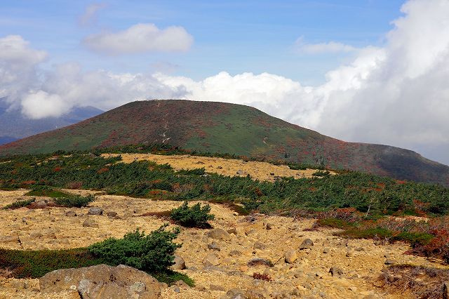 e0137200_21293177.jpg
