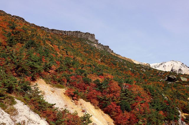 e0137200_2131311.jpg