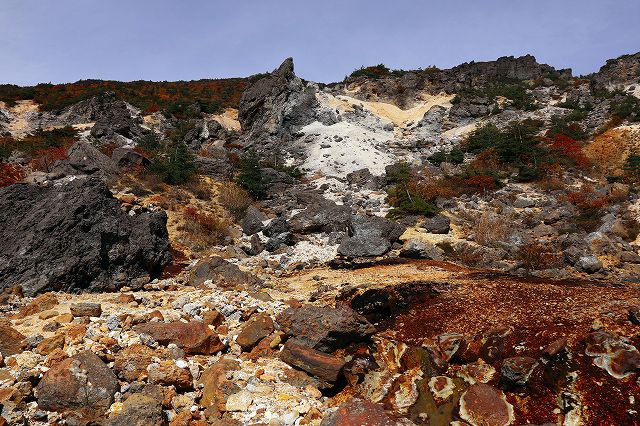 e0137200_21315065.jpg