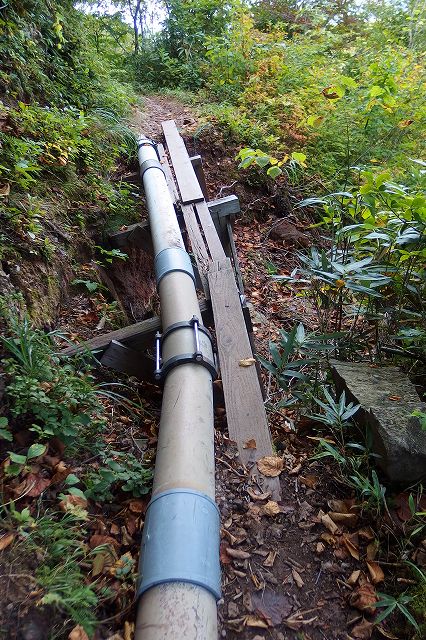e0137200_21343068.jpg