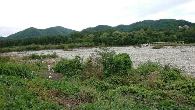 f0353900_12010034.jpg