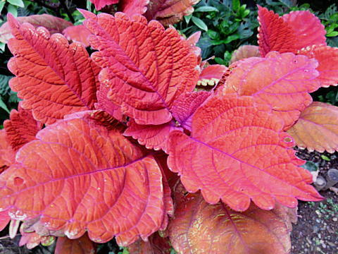 d0046702_06442364.jpg