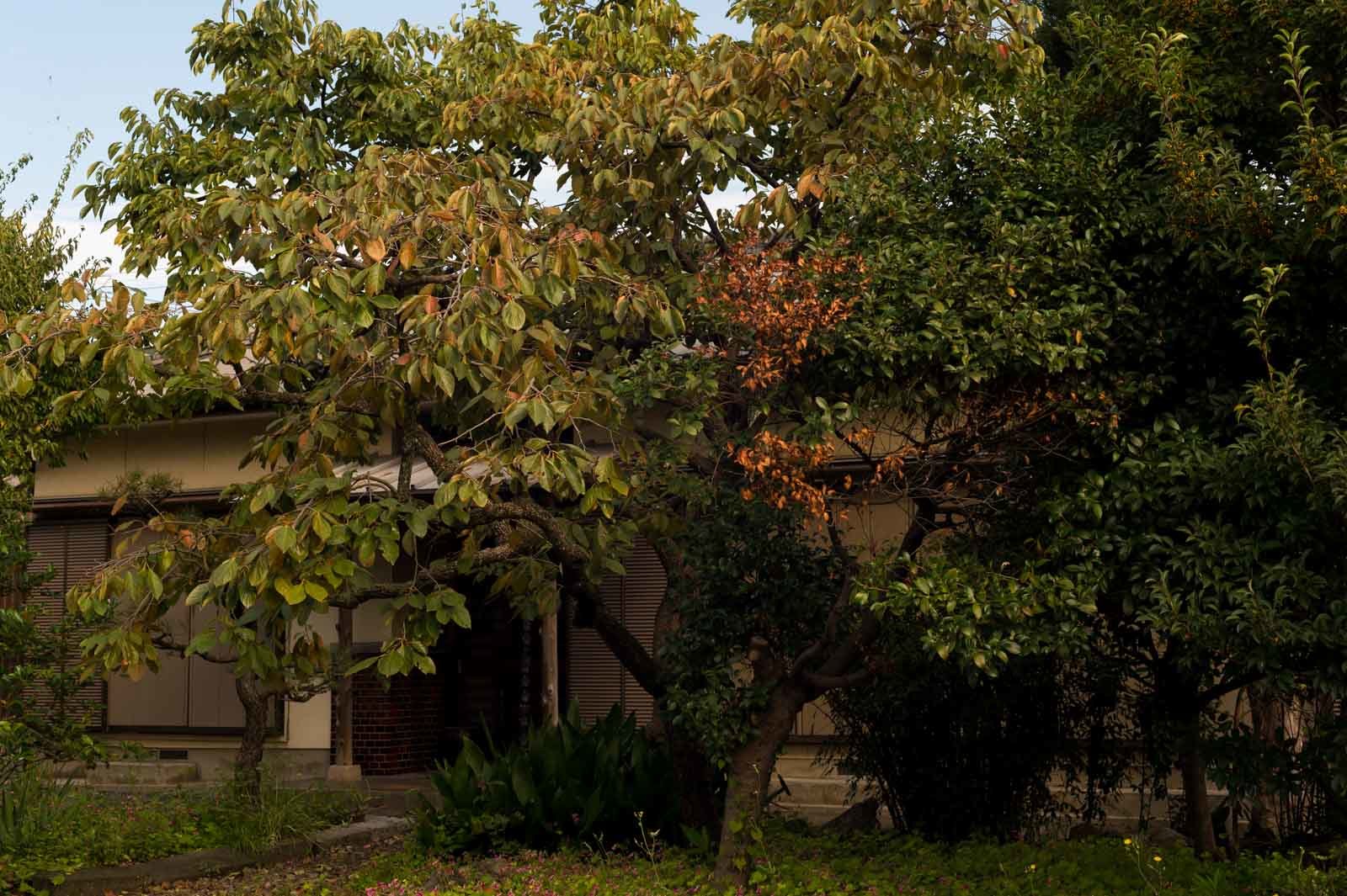 f0083903_08363246.jpg