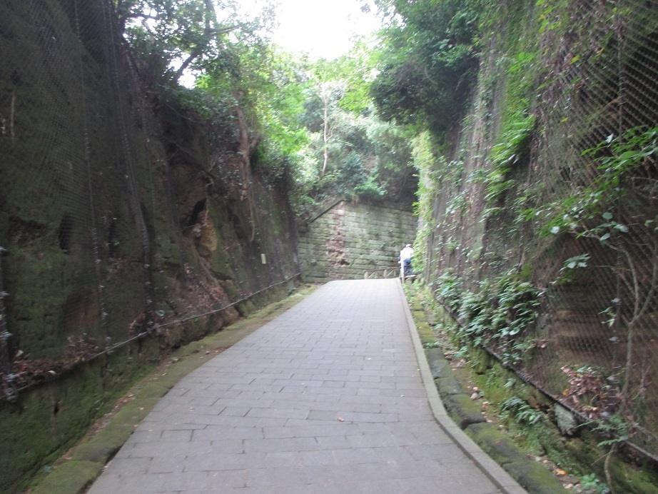 e0242504_16304893.jpg