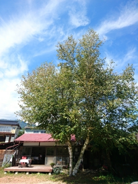 b0365305_07272879.jpg
