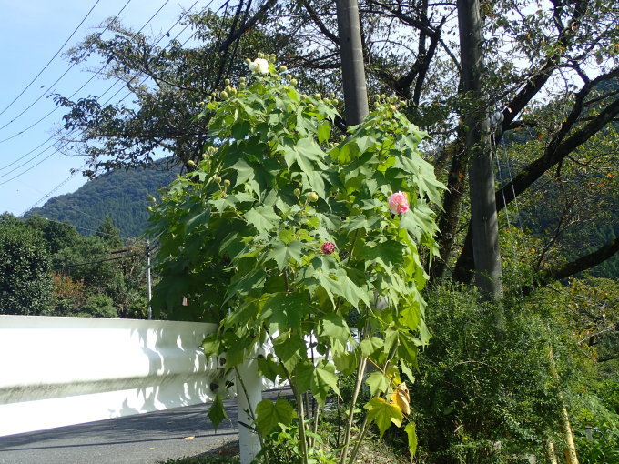 d0251807_08221257.jpg