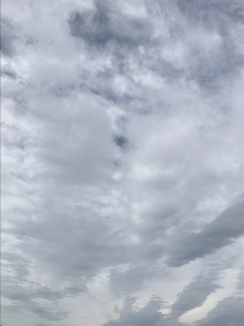 e0366207_11285109.jpg