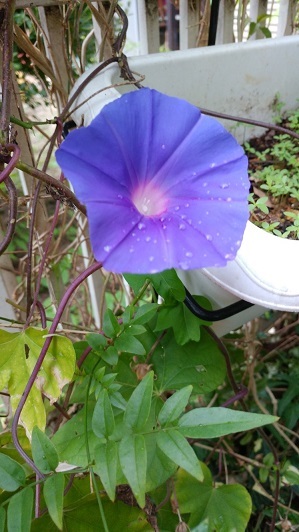 b0247609_09093837.jpg