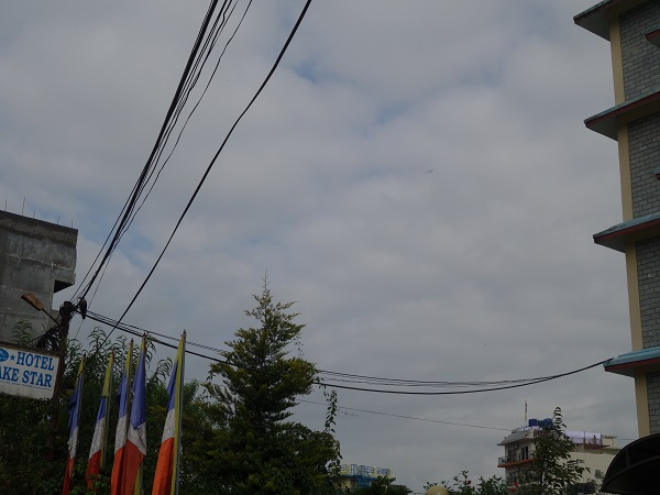 d0360509_1185429.jpg
