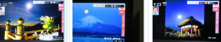 f0231709_08262528.gif