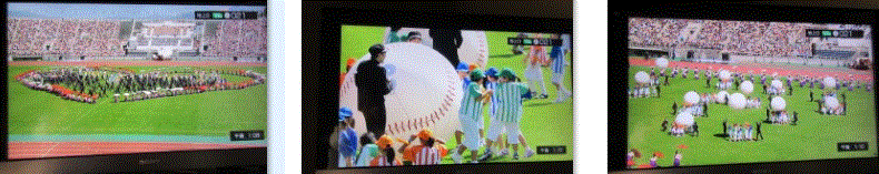 f0231709_08413917.gif