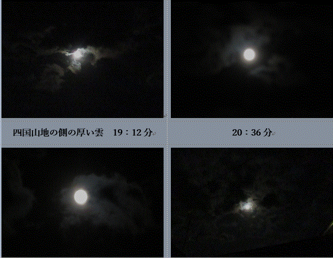 f0231709_21421784.gif