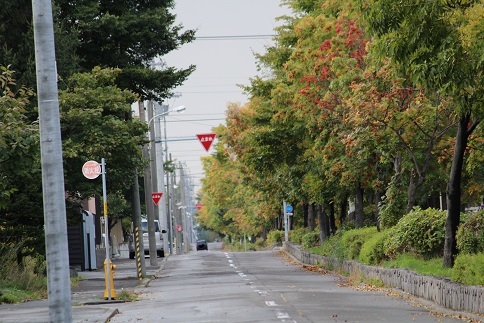 近くの街道　秋の景色_f0325309_16234181.jpg