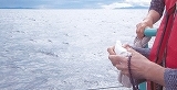 e0363711_11222663.jpg