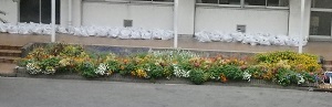 c0386412_00432278.jpg