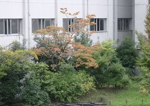 c0386412_00432327.jpg